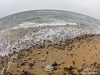 Rocky beach fisheye