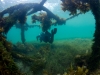 Ozone Wreck