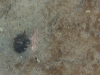 portarlington-pier-003