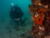 blairgowrie-pier-016