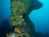 Pillar