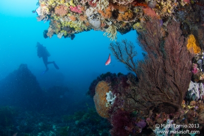 Coral and overhang