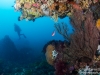 2013-02-24 Sven's Reef