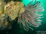 2013-03-02 Portsea Hole