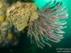 2013-03-02 Portsea Hole