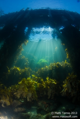 Under the pier