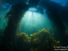 2013-03-02 South Channel Fort