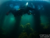 Luke under the pier