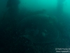 Big smooth ray