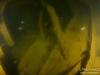 Inside the Wreck