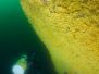2013-03-09 Pinnacles