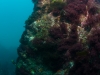 Pillar