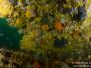 2013-04-01 Lonsdale Wall