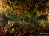 Under a ledge