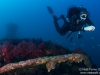 Swimming above the sub