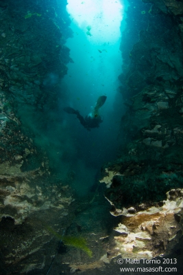 Chasm, lots of organic material floating around