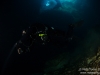 Diver