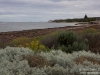 Coastline