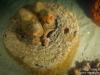 Blenny on a tire