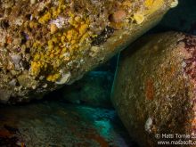 Between the boulders