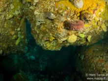 Overhanging boulders