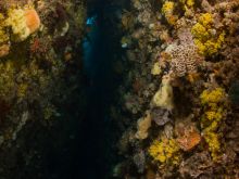 Crack between boulders