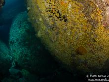 Between the boulders