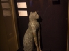 Cats from Ancient Egypt