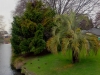 Riverbank (HDR)