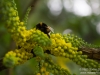 Bees flying around even in winter