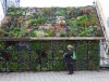 Creative Gardening