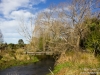 Styx Mill reserve