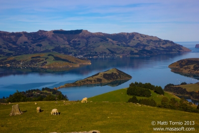 Banks_Peninsula-080_1_2-HDR