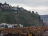 Lots of timber in Lyttelton