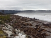 Monro beach