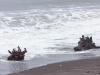 Driftwood