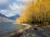 Shoreline