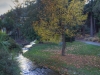 Queenstown Gardens