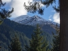 Queenstown Gardens