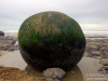 Moss-covered boulder