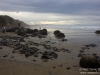 Shoreline