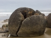 Cracked boulder
