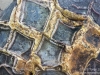 Dragon egg closeup