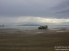 Taking the dogs out to the beach. Sea lion that was hanging out on the beach didn't sadly get in any photos