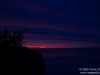 Bushy Beach first light