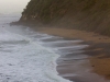 Bushy Beach