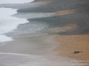 Penguins coming ashore