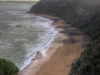 Bushy Beach