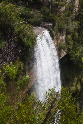 blackheath-bushwalk-221