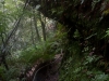 blackheath-bushwalk-032